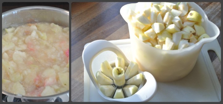 Omenasosetta ja omenalohkoja