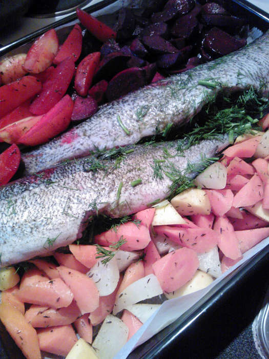 Juureksia ja hauki sekä siika menossa uuniin paistumaan