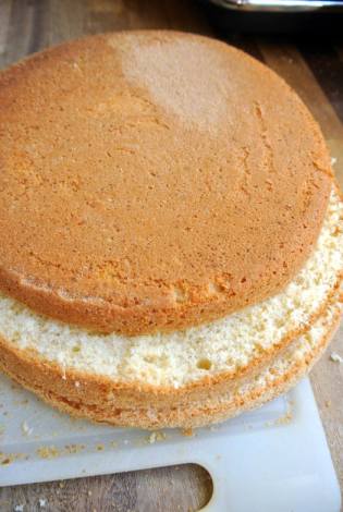 täytekakkupohja leikattuna