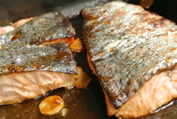 Teriyaki-lohi vuoassa