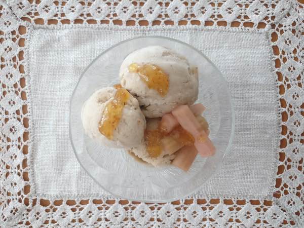 banaanijäätelö_viikunahilloa_raparperia